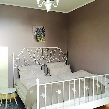 Ferienwohnung Rheingluck *
